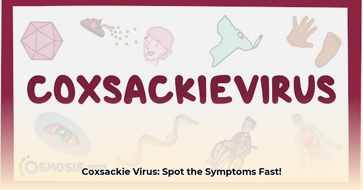 coxsackie-virus-symptoms